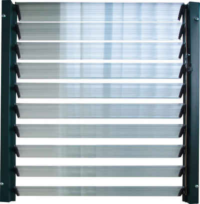 Rion Fenster, für Gewächshäuser, Kunststoff, BxH: 60x64 cm