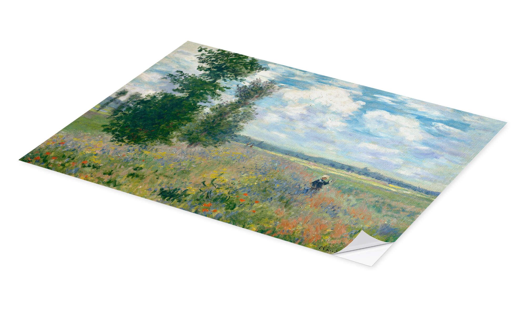 Posterlounge Wandbild Mohnfelder in der Nähe günstig online kaufen