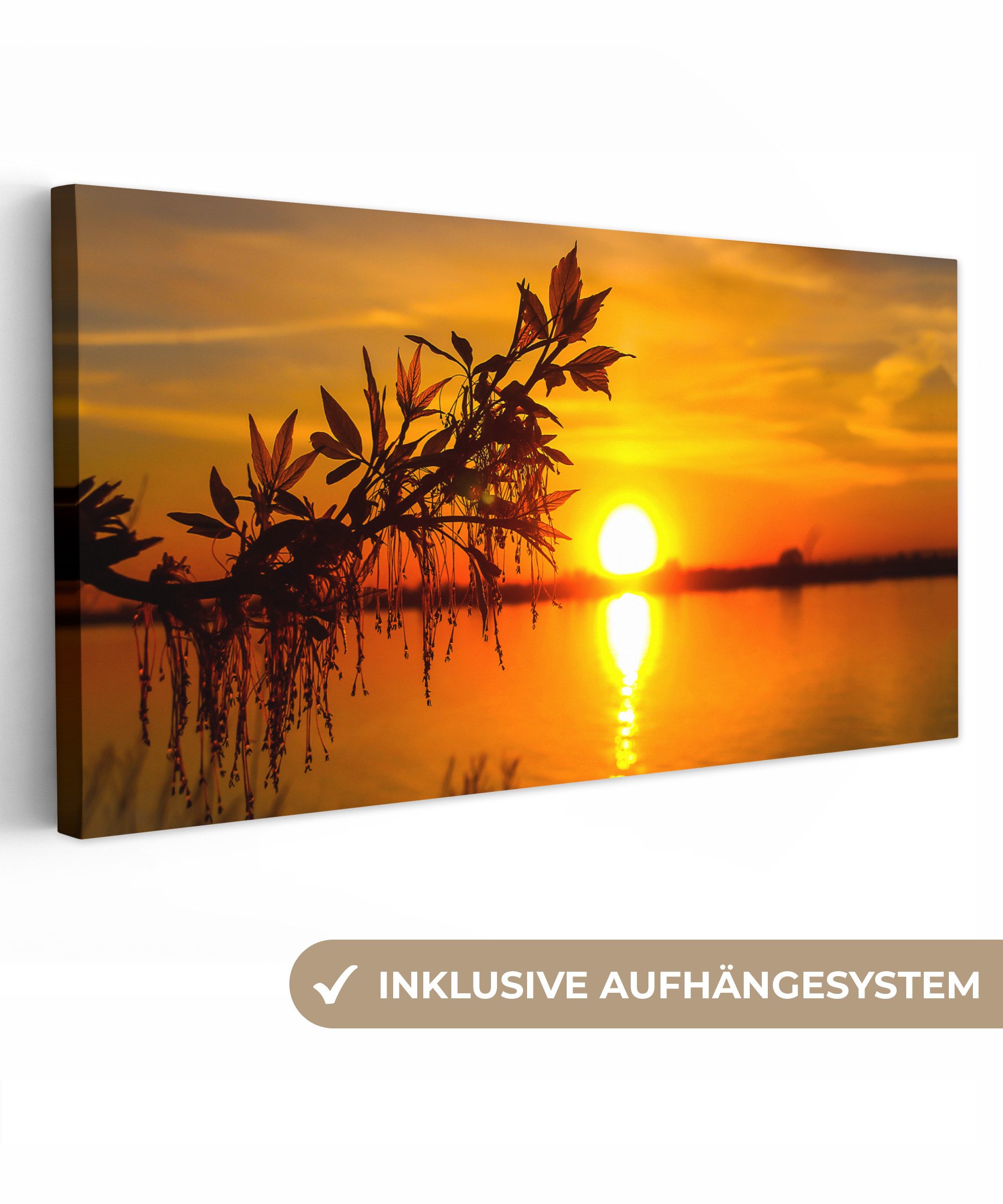 OneMillionCanvasses® Leinwandbild Panorama Sonnenuntergang - Wasser - Pflan günstig online kaufen
