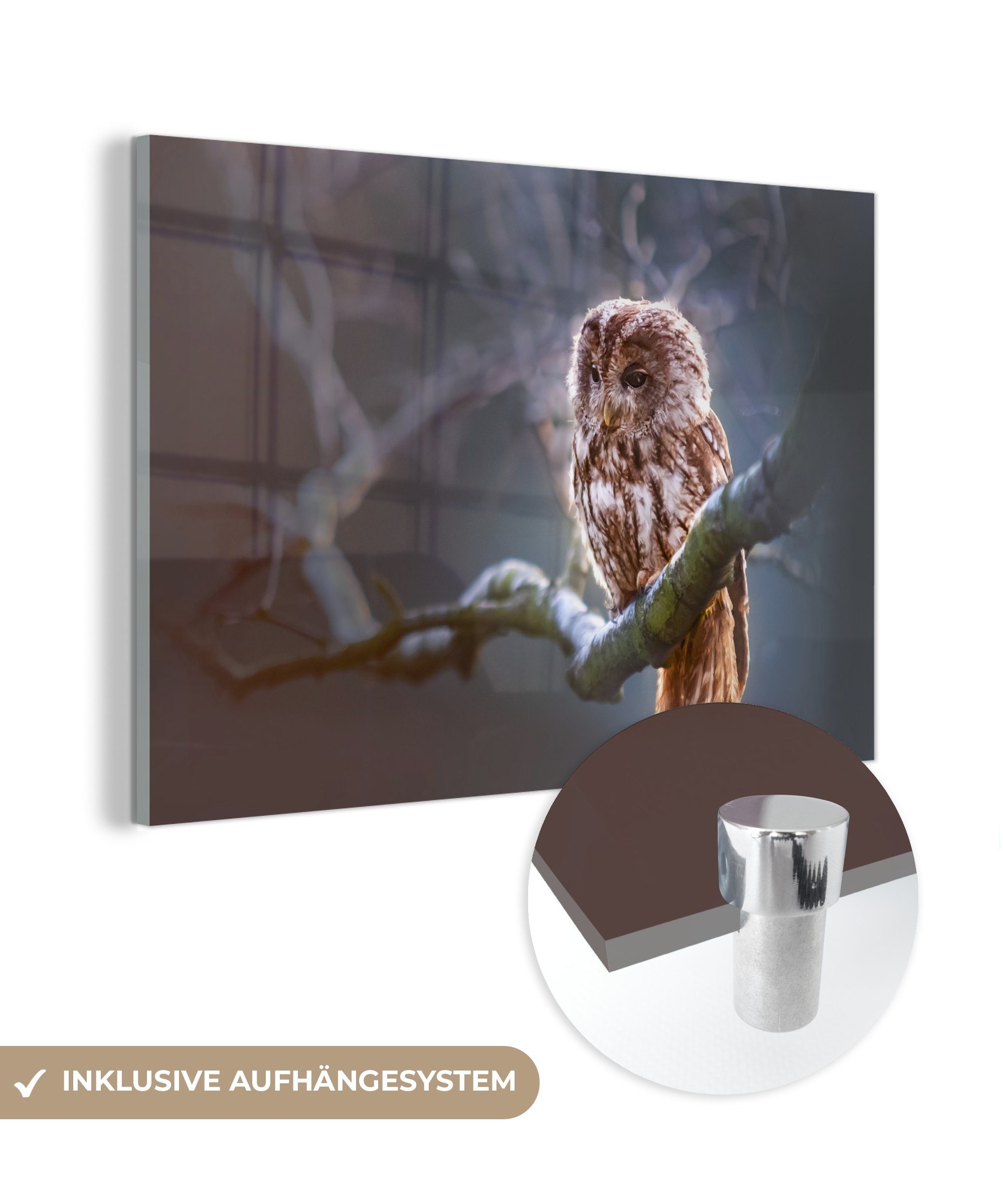 MuchoWow Acrylglasbild Vogel - Eule - Schleiereule, (1 St), Acrylglasbilder Wohnzimmer & Schlafzimmer
