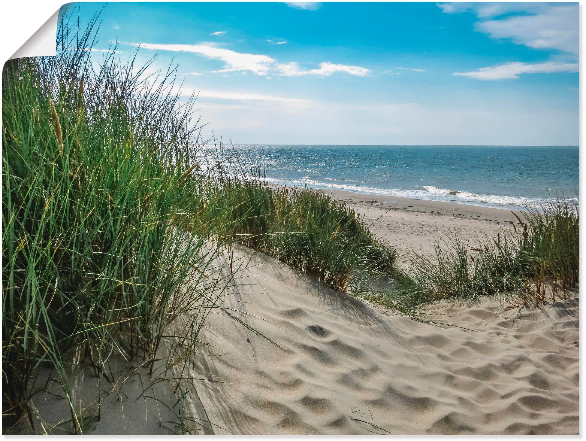 Artland Wandbild Dünenlandschaft im Sommer an der Nordsee, Strand (1 St), als Leinwandbild, Poster in verschied. Größen