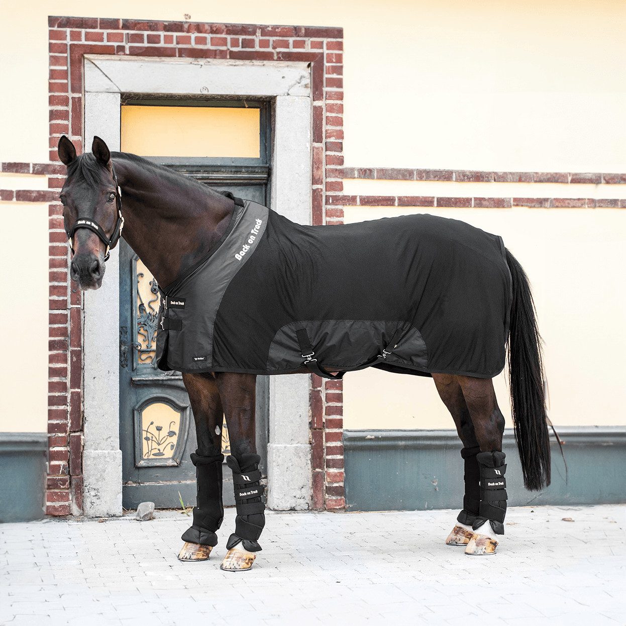 Back on track Pferde-Fliegendecke Back on Track Royal Netzdecke Deluxe