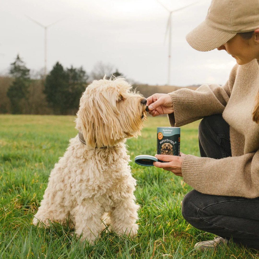 NaturDrops Kot & Gras Control Reduziert unnatürliches Fressverhalten, Nahrungsergänzungsmittel für: Hunde
