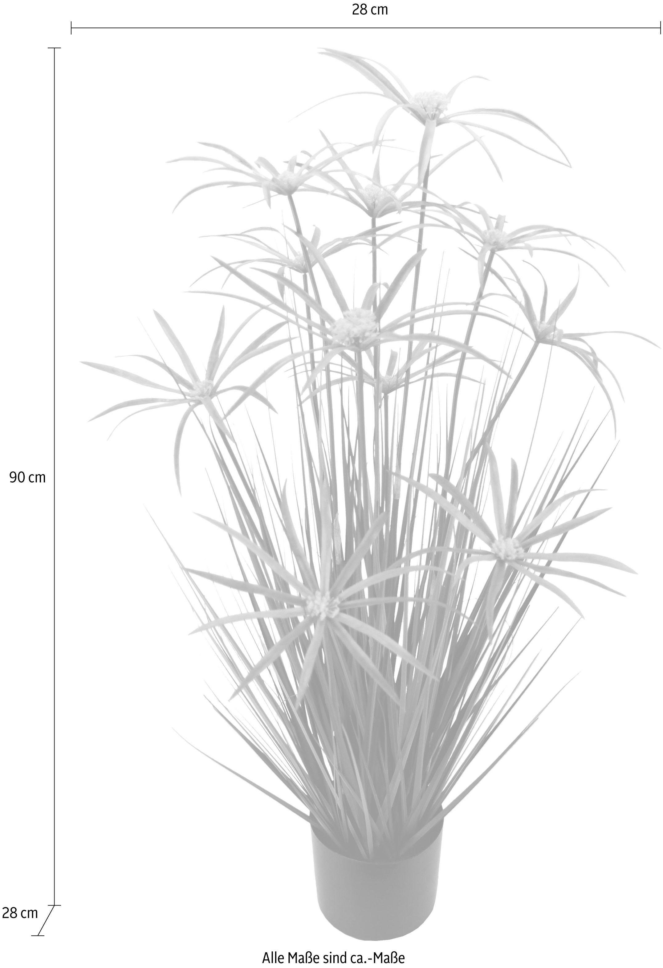 Kunstpflanze Zyperngras im Topf, I.GE.A., Höhe 90 cm günstig online kaufen