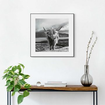 Reinders! Wandbild Slim Frame Black 50x50 Highland Cow
