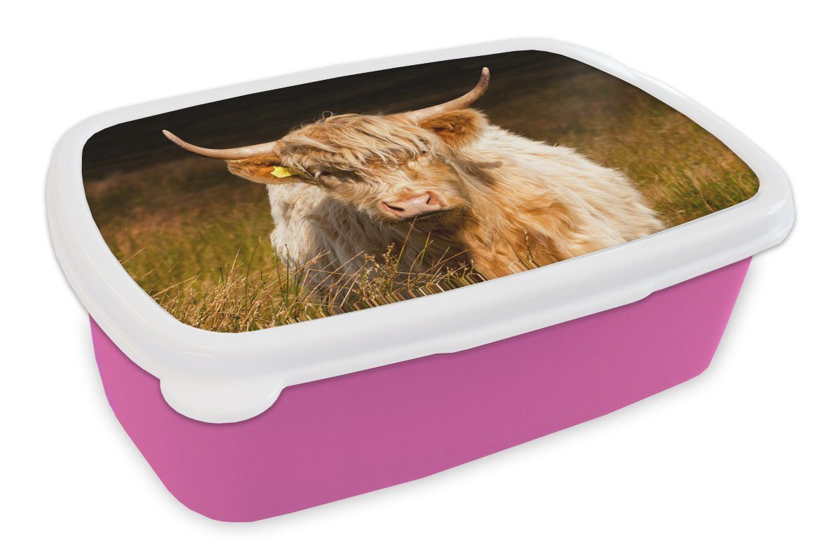 MuchoWow Lunchbox Schottische Highlander - Licht - Gras - Tiere, Kunststoff, (2-tlg), Brotbox für Erwachsene, Brotdose Kinder, Snackbox, Mädchen, Kunststoff rosa