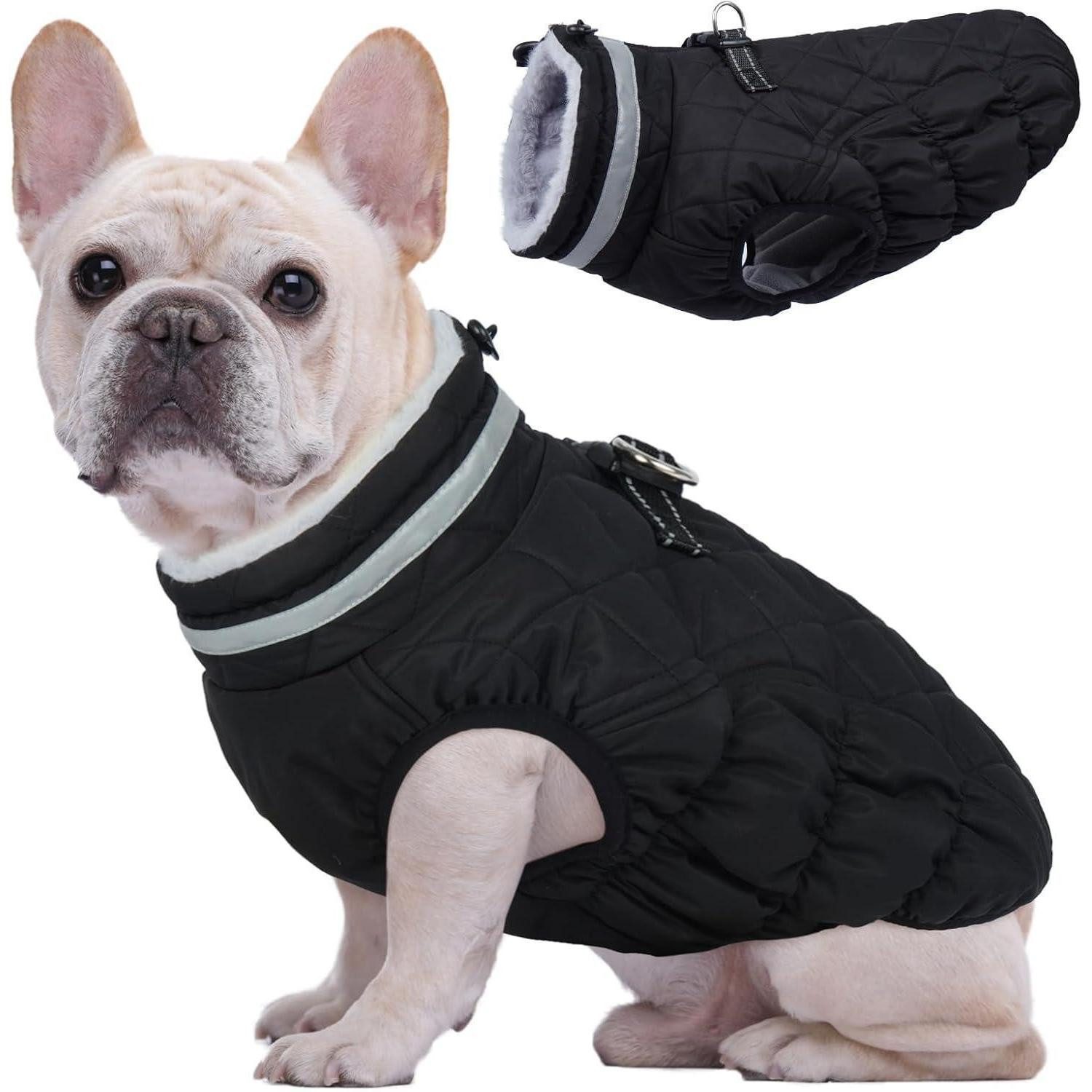 LuxusKollektion Hundemantel Hundemantel Winter kleine Hunde wasserdicht XS Durchgehend schwarz
