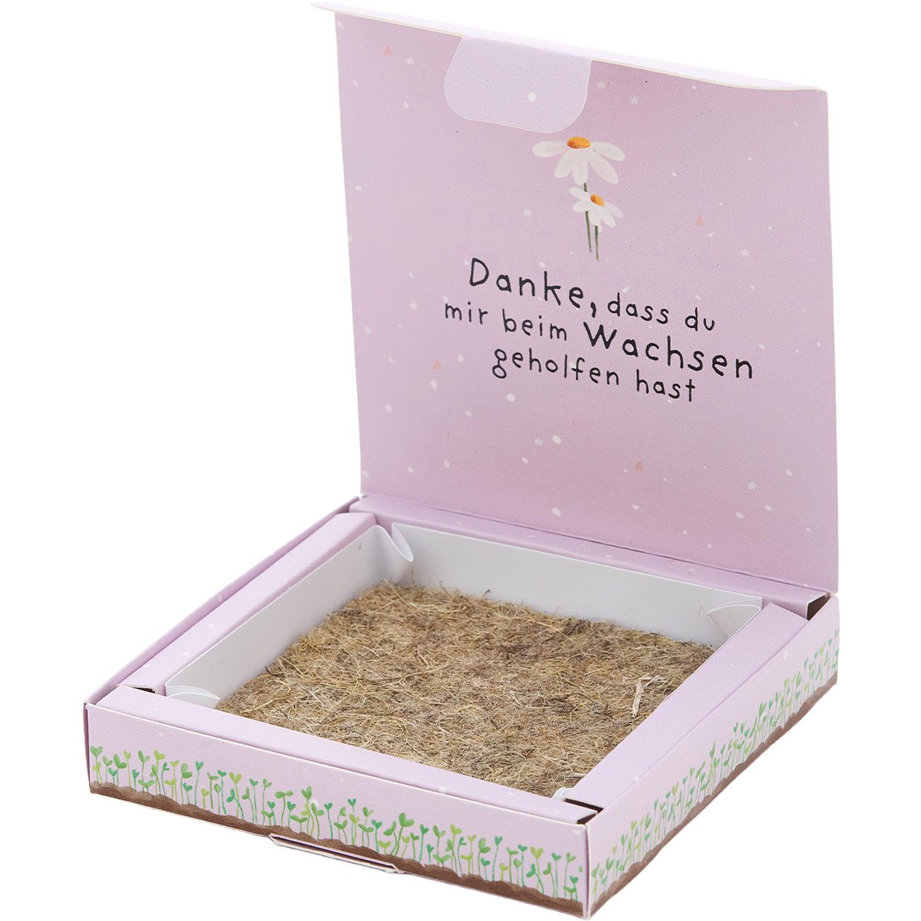 Die Stadtgärtner Blumensamen Wiesen-Margeriten Pflanzset, Geschenkbox mit Samen & Hanfmatte, Natur, „Danke, dass du mir beim Wachsen geholfen hast“ -Saatgut