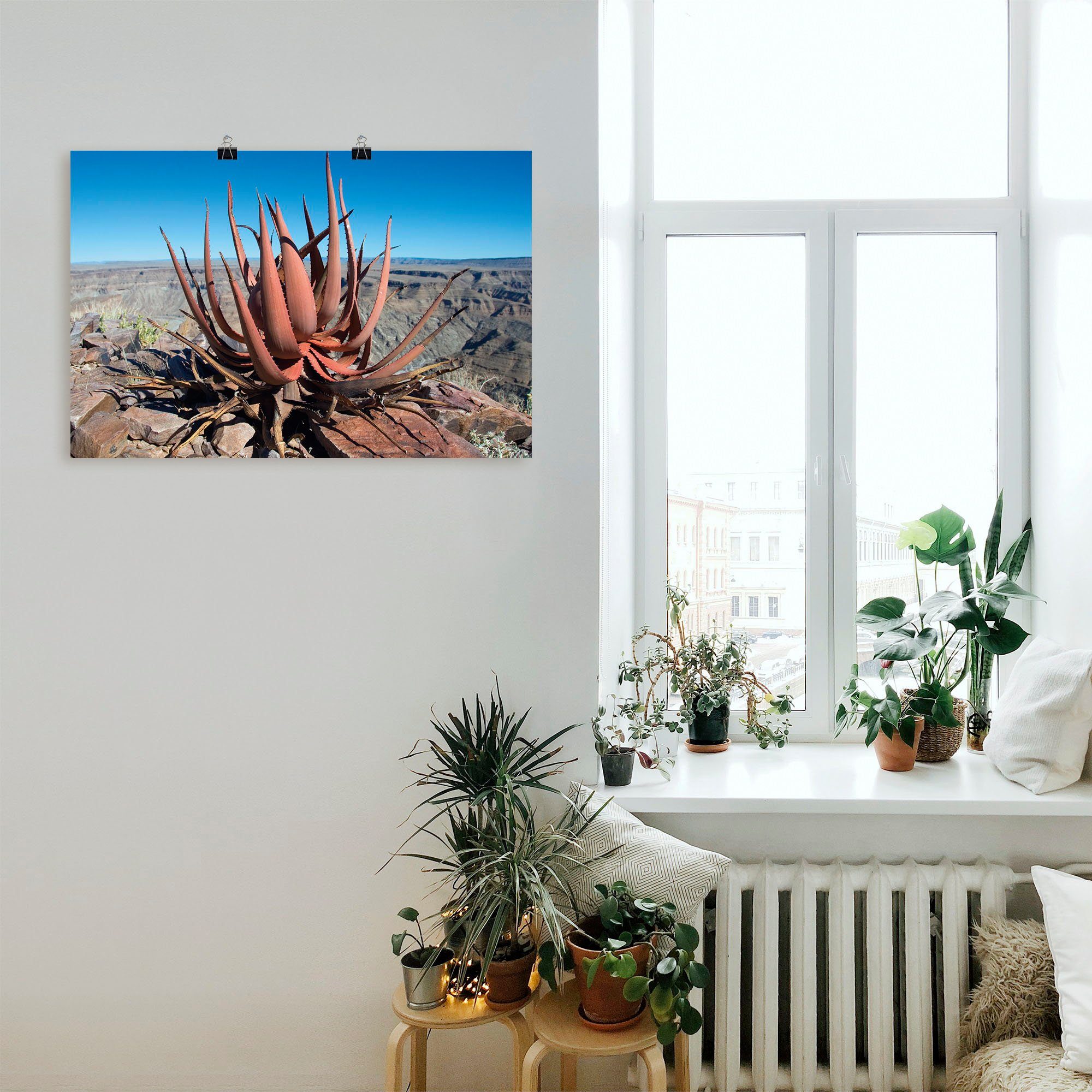 Pflanzenbilder als oder Poster Artland in Wandaufkleber gariepensis, Alubild, (1 Aloe St), Sukkulente, Größen Wandbild versch. Leinwandbild,