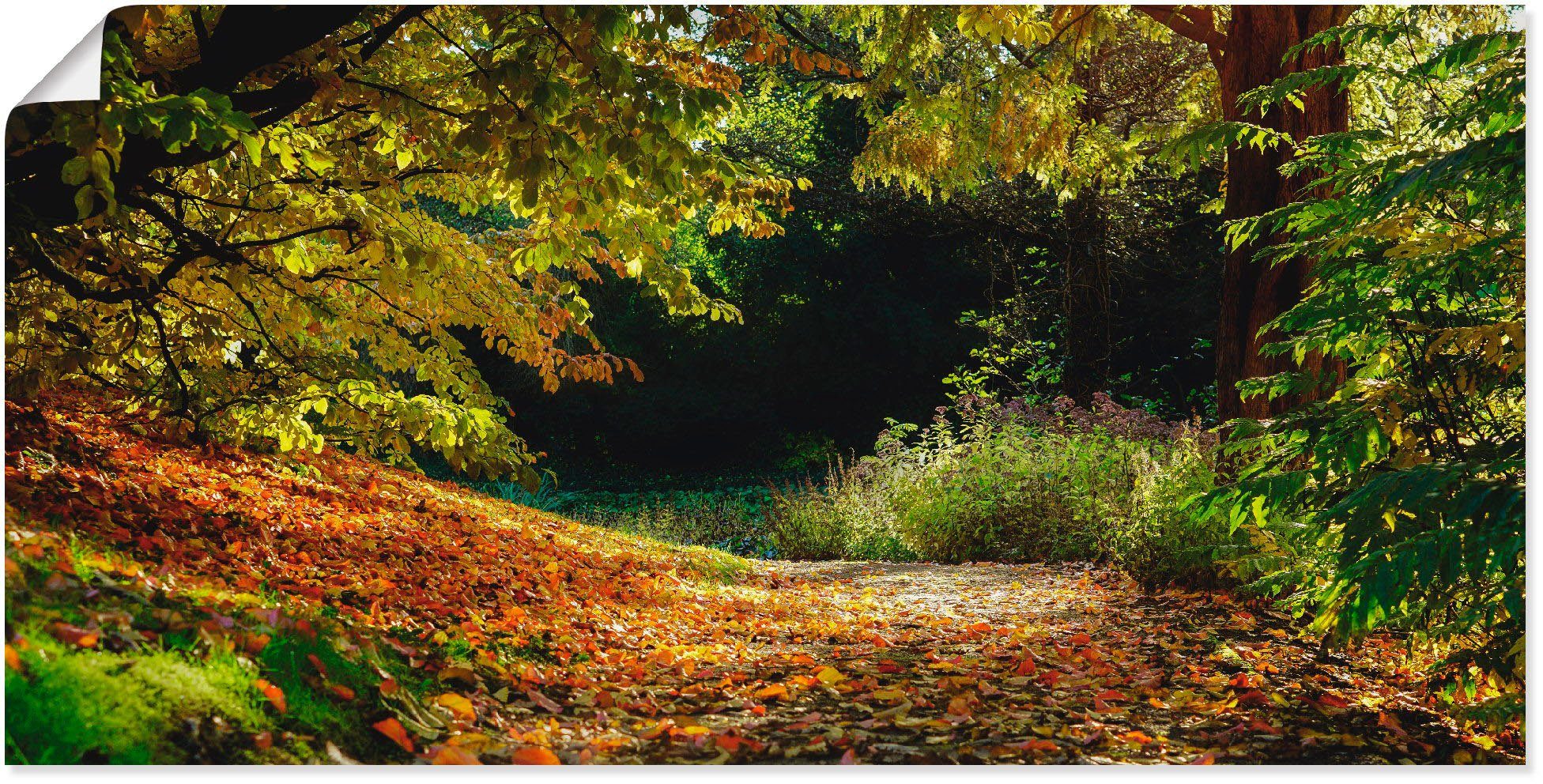 Artland Wandbild Herbstteppich, Wald (1 St), als Leinwandbild, Wandaufkleber  oder Poster in versch. Größen | Poster