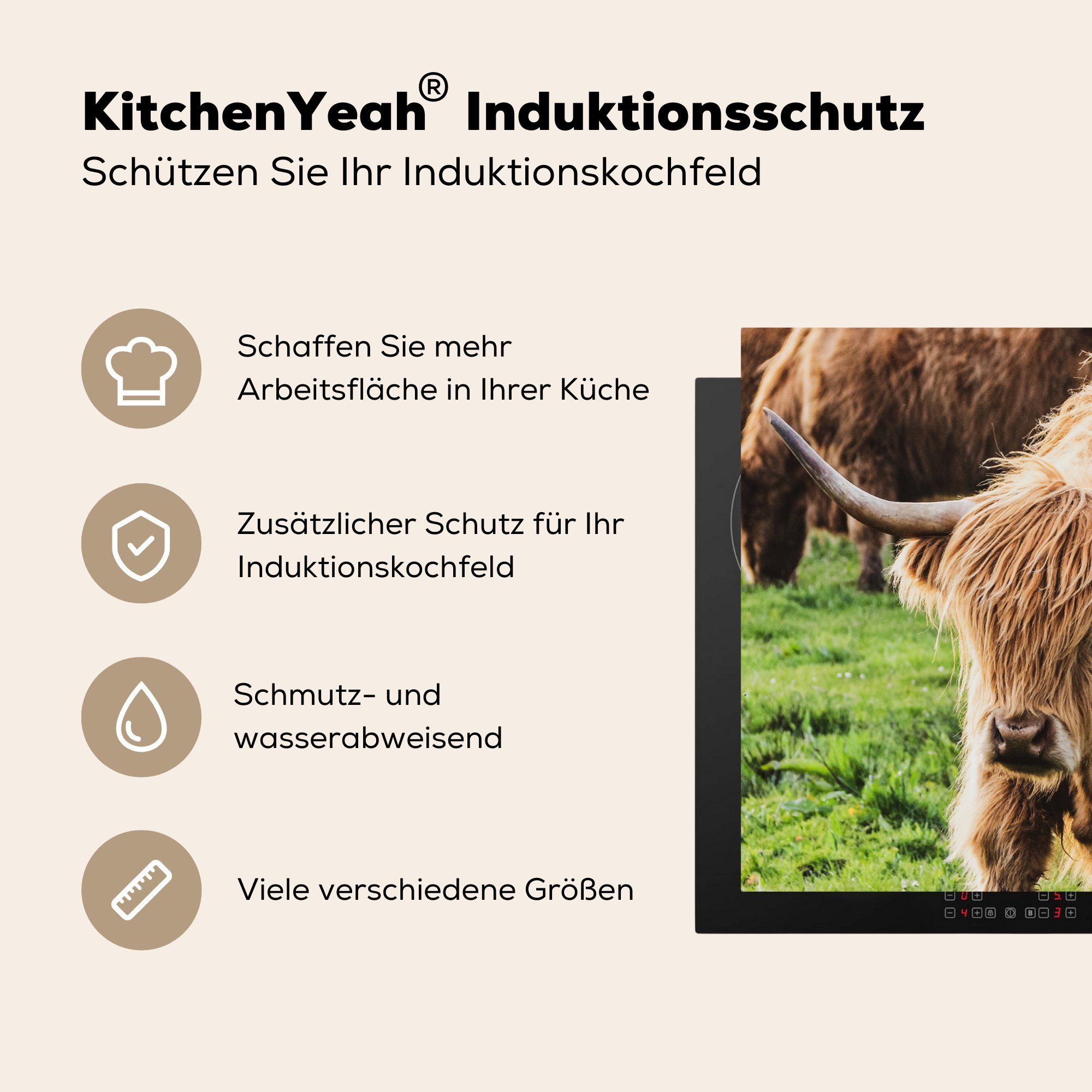 Schottischer MuchoWow (1 Vinyl, - - cm, Herde tlg), die Ceranfeldabdeckung Hochländer für Gras, 59x52 Herdblende-/Abdeckplatte küche, Induktionsmatte