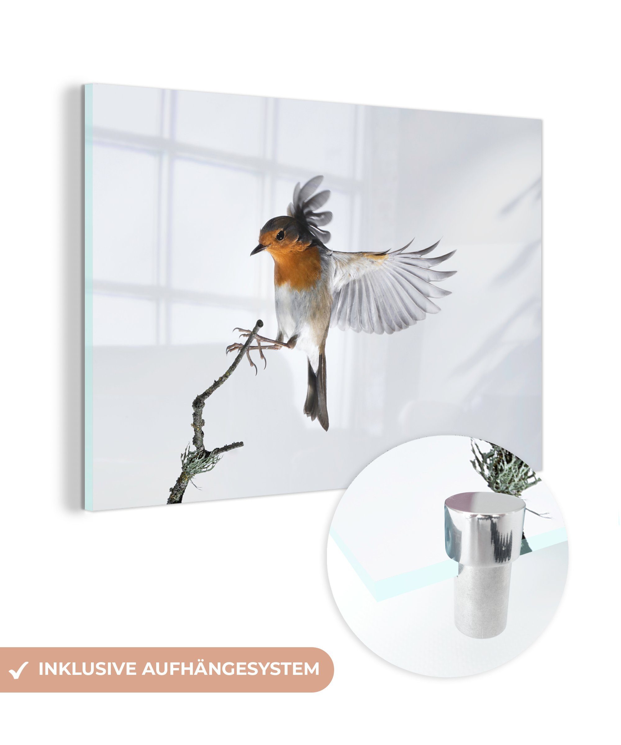 MuchoWow Acrylglasbild Robin - Zweig - Tiere, (1 St), Acrylglasbilder Wohnzimmer & Schlafzimmer