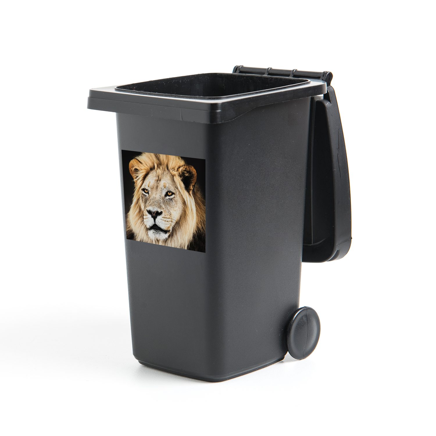 - Löwen (1 Abfalbehälter Wandsticker - Mülleimer-aufkleber, St), Container, Farben Mülltonne, Raubtier Sticker, MuchoWow