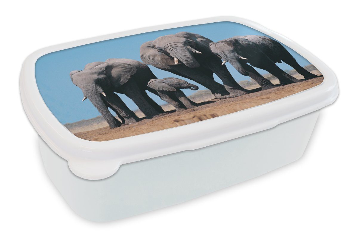 MuchoWow Lunchbox Elefant - Prärie - Tiere - Natur, Kunststoff, (2-tlg), Brotbox für Kinder und Erwachsene, Brotdose, für Jungs und Mädchen weiß