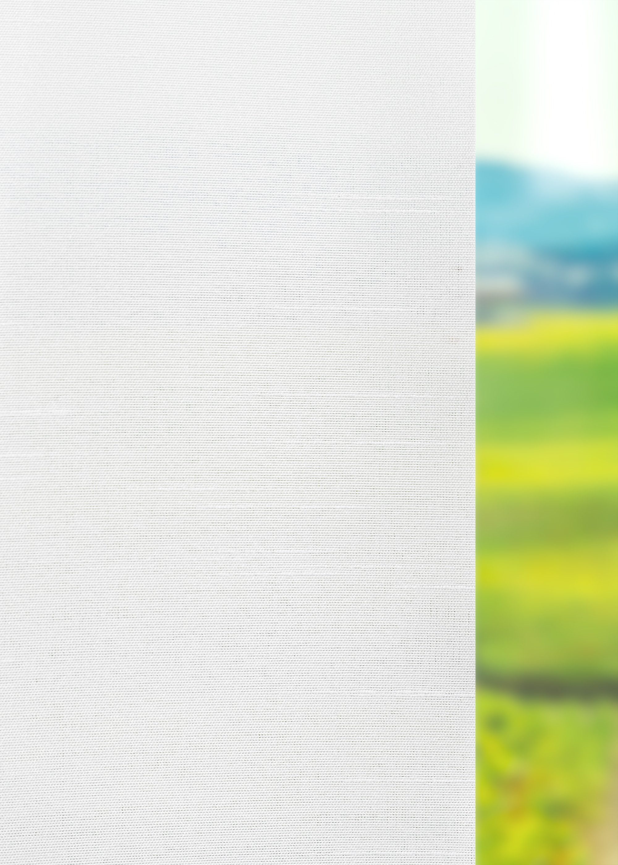 LYSEL® Schiebegardine Plain (1 St), halbtransparent, HxB 245x60cm