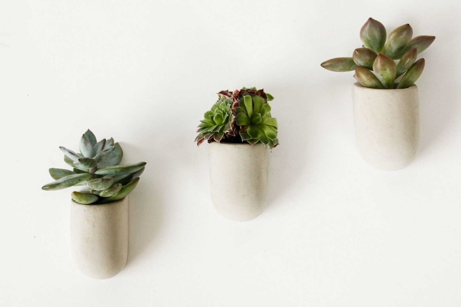 GIFT REPUBLIC Blumentopf Mini Pflanztopf mit Magnet (Set, 3 St., Beton), ca. 3,8 x 3,8 x 6 cm