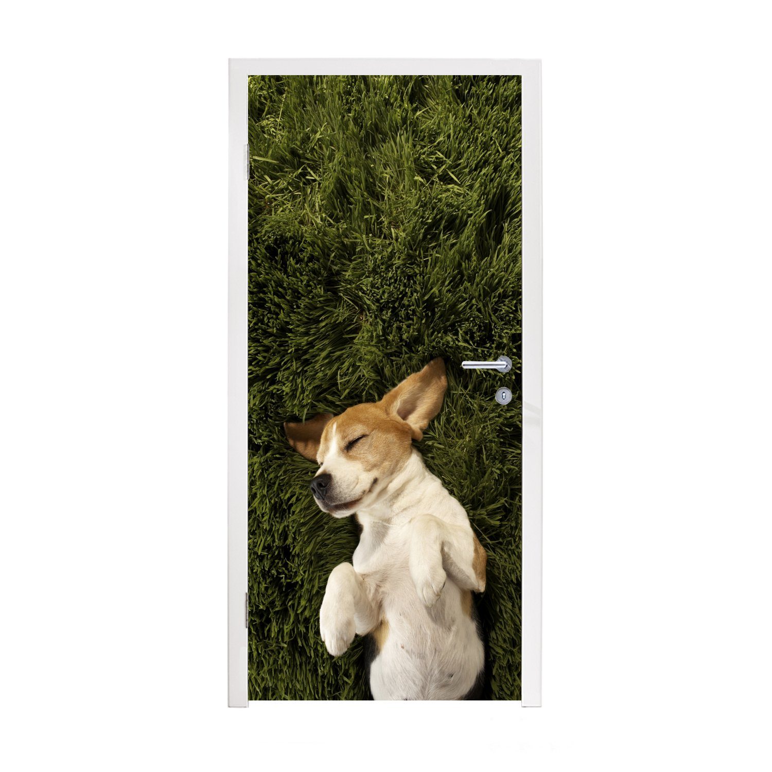Gras Türaufkleber, Matt, für Tür, Im MuchoWow cm Türtapete Hund, schlafender St), (1 Fototapete 75x205 bedruckt,