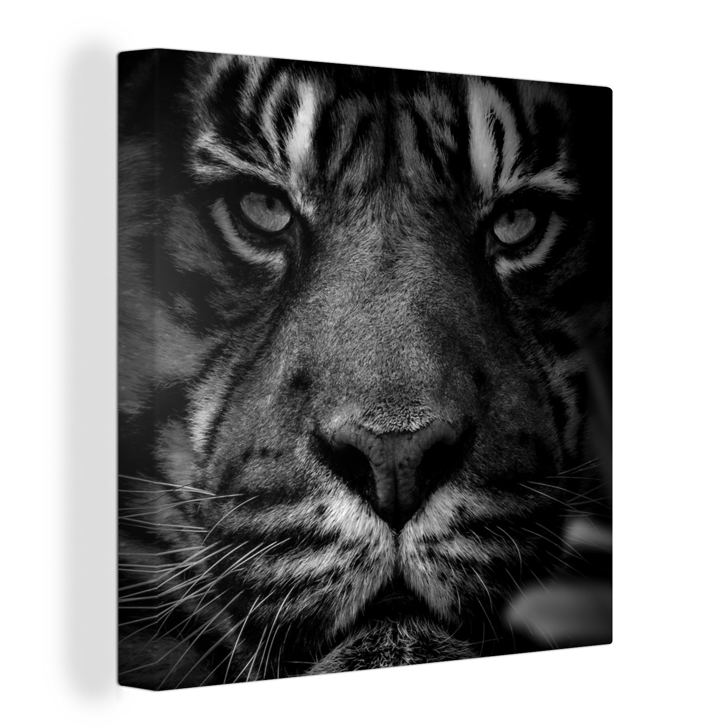 OneMillionCanvasses® Leinwandbild Dschungel - Tiger - Wilde Tiere - Schwarz - Weiß, (1 St), Leinwand Bilder für Wohnzimmer Schlafzimmer