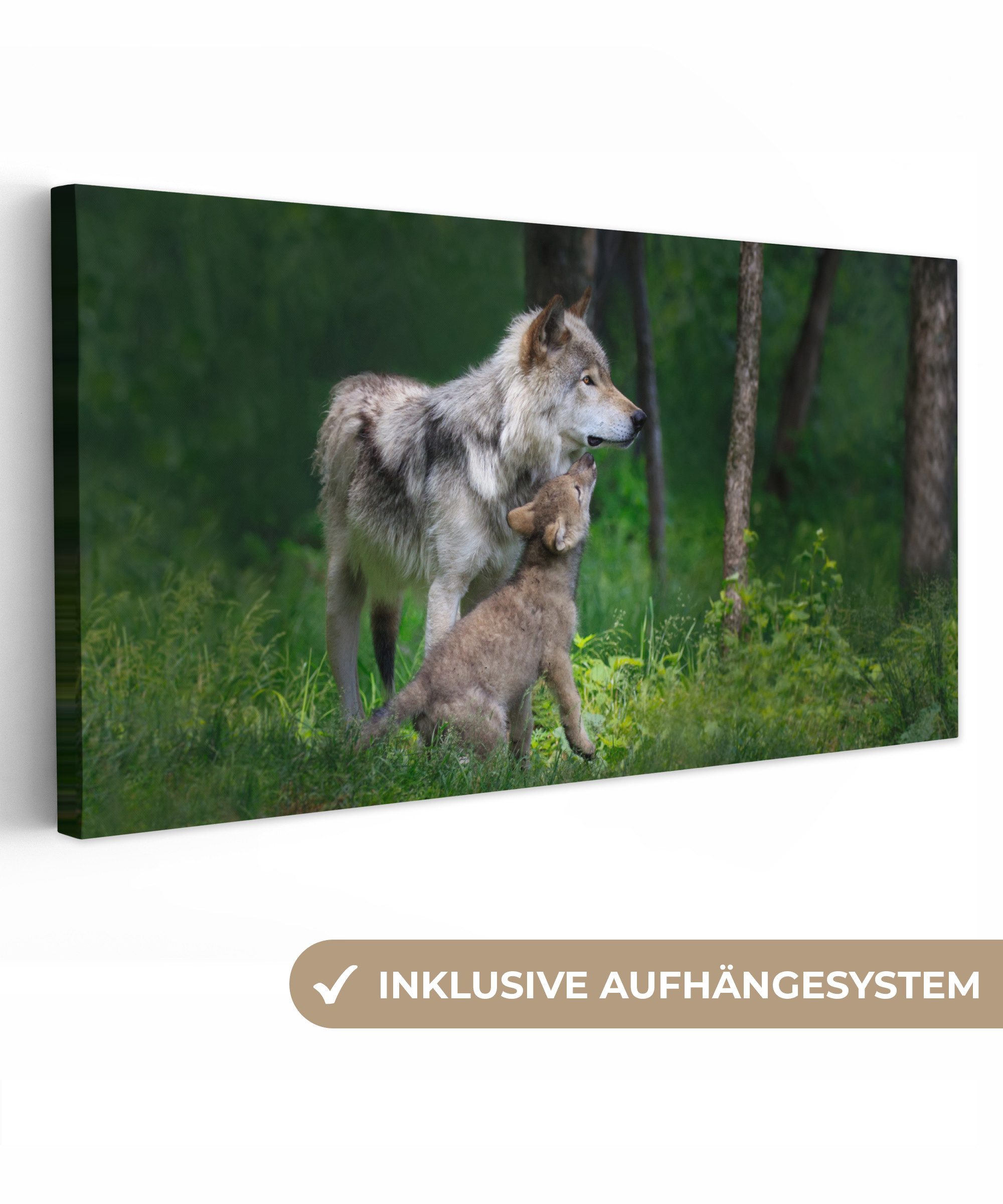 OneMillionCanvasses® Leinwandbild Panorama Wolf - Baby - Wald, Fotodruck (1 St), Wandbild, Deko Schlafzimmer Wohnzimmer Flur 40x20 cm