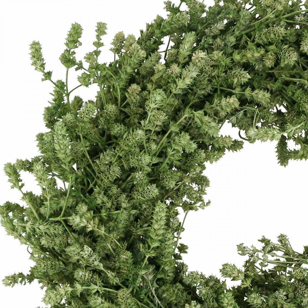Viana Weihnachtsmann Trockenblumenkranz Weihnachtsdeko Türkranz Festliche Dekoration