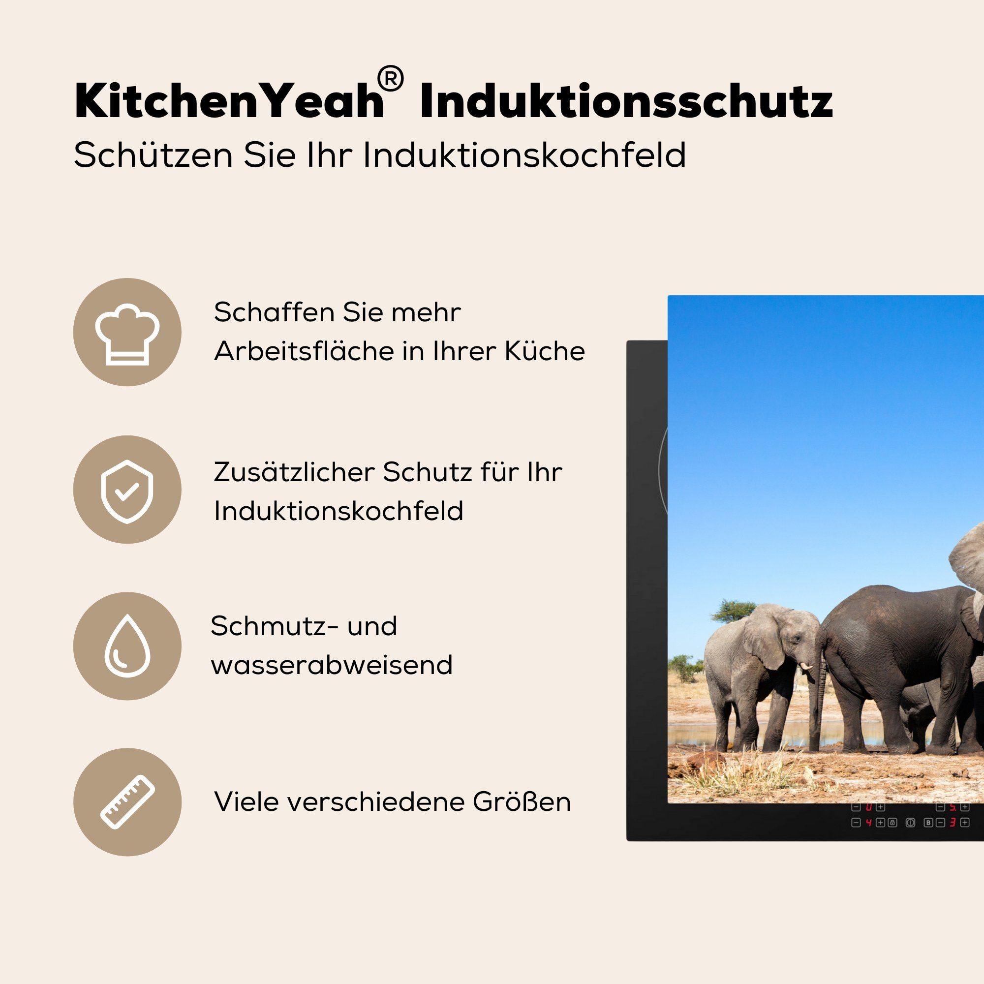 Ceranfeldabdeckung die Elefanten Tiere 81x52 küche, Vinyl, MuchoWow (1 für Wasser, Induktionskochfeld Schutz Herdblende-/Abdeckplatte tlg), cm, - -