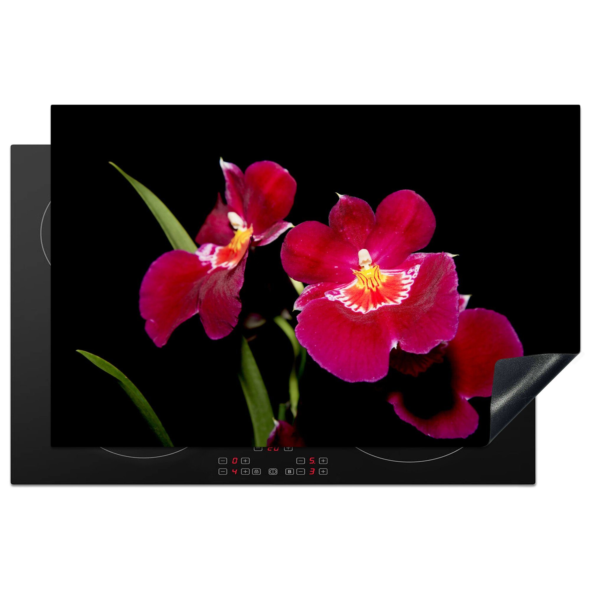 MuchoWow Herdblende-/Abdeckplatte Rote Orchideen vor einem schwarzen Hintergrund, Vinyl, (1 tlg), 81x52 cm, Induktionskochfeld Schutz für die küche, Ceranfeldabdeckung