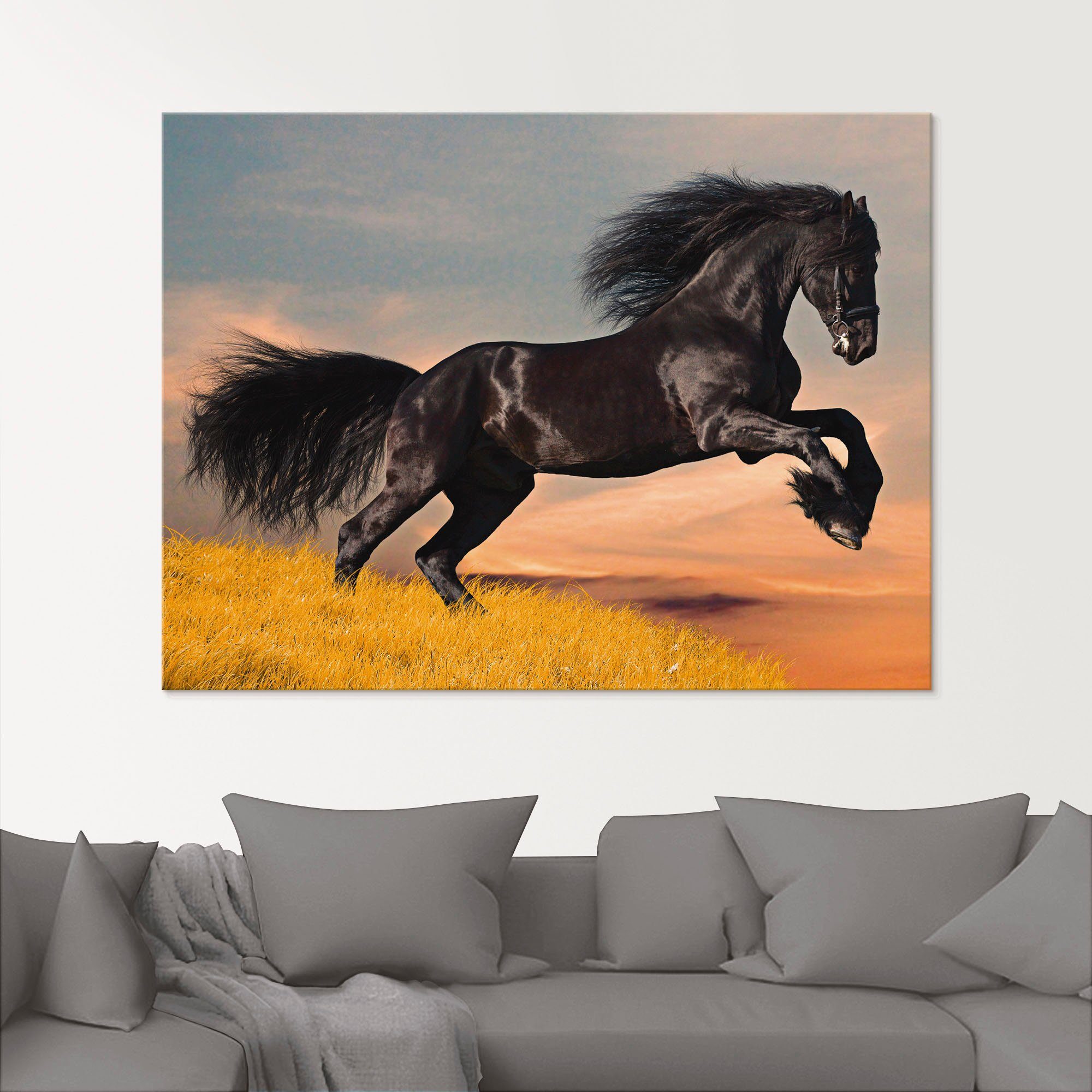 Artland Glasbild Friesischer Hengstgalopp, Haustiere (1 St), in verschiedenen Größen