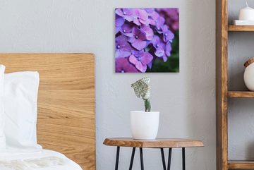 OneMillionCanvasses® Leinwandbild Blumen - Lila - Hortensie - Natur - Blütenblätter, (1 St), Leinwand Bilder für Wohnzimmer Schlafzimmer