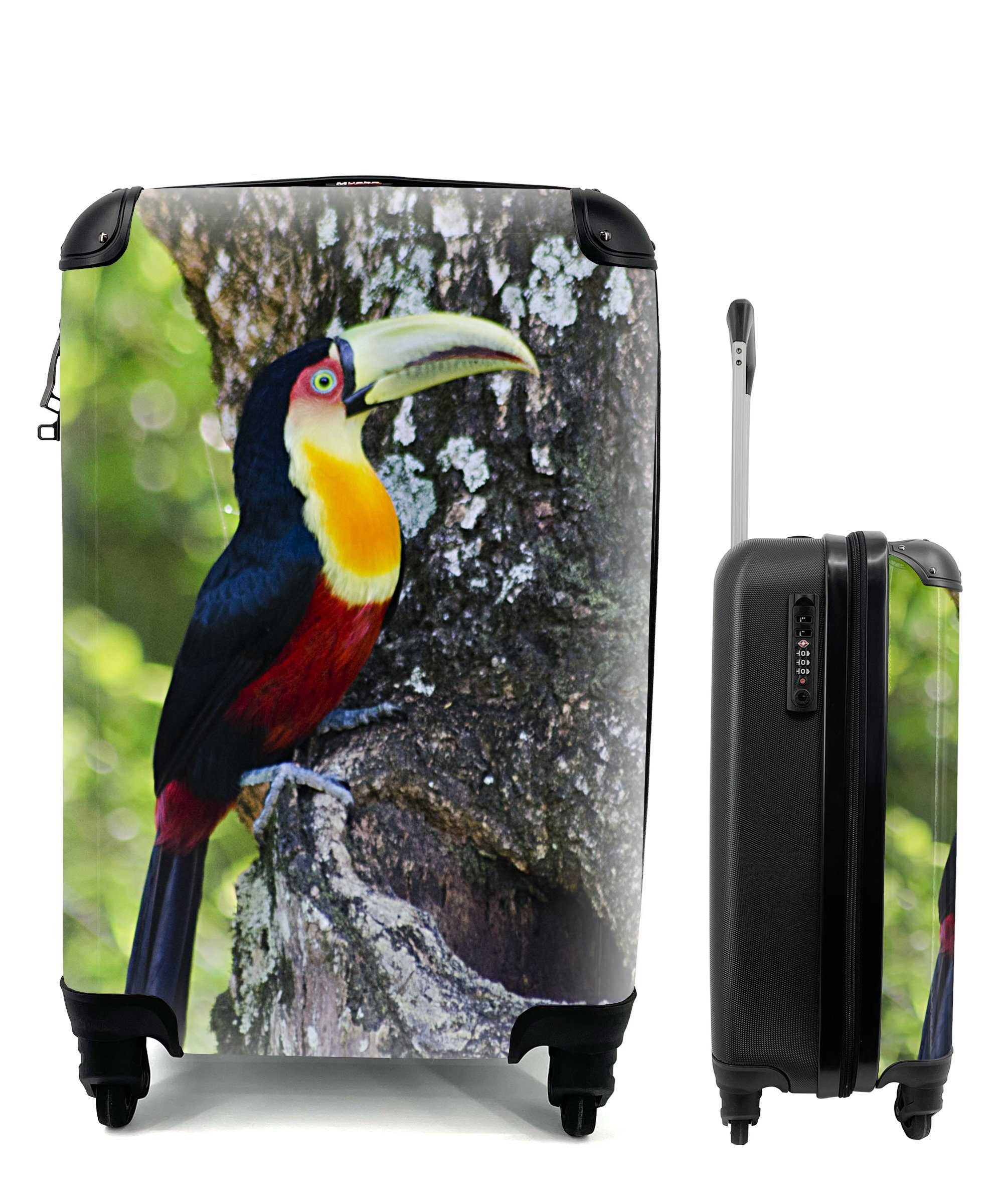 MuchoWow Handgepäckkoffer Ein Tukan schaut von einem Baum aus nach rechts, 4 Rollen, Reisetasche mit rollen, Handgepäck für Ferien, Trolley, Reisekoffer