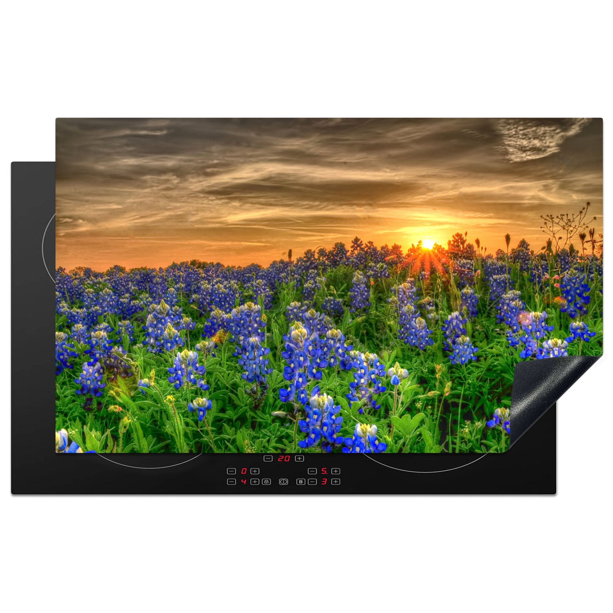 Arbeitsplatte Bluebonnet Vinyl, einem 83x51 küche Blumen Sonnenuntergang, (1 Texas bei Ceranfeldabdeckung, in Feld für tlg), cm, MuchoWow Herdblende-/Abdeckplatte