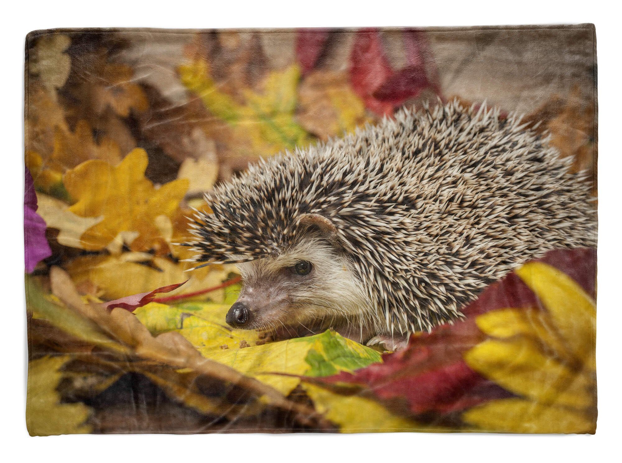 Sinus Art Handtücher Handtuch Strandhandtuch Saunatuch Kuscheldecke mit Tiermotiv Igel Herbstblätter, Baumwolle-Polyester-Mix (1-St), Handtuch