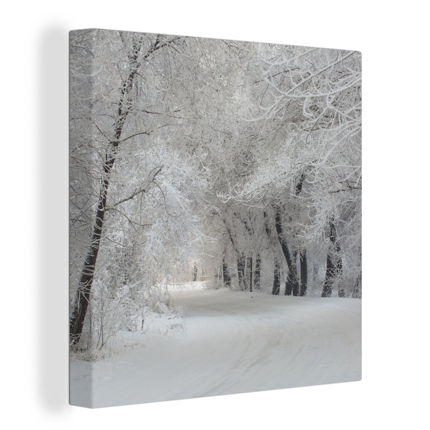 OneMillionCanvasses® Leinwandbild Bäume - Schnee - Winter, Fotodruck (1 St) günstig online kaufen