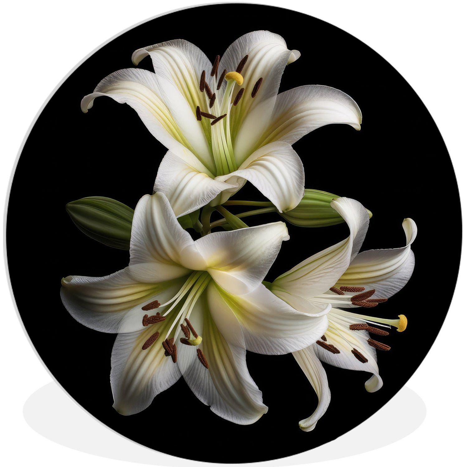 MuchoWow Gemälde Lilie - Blumen Forex, Wandbild, Botanisch, 30x30 Kreis Weiß cm - St), Wohnzimmer, (1 Wanddekoration - Rundes Natur 