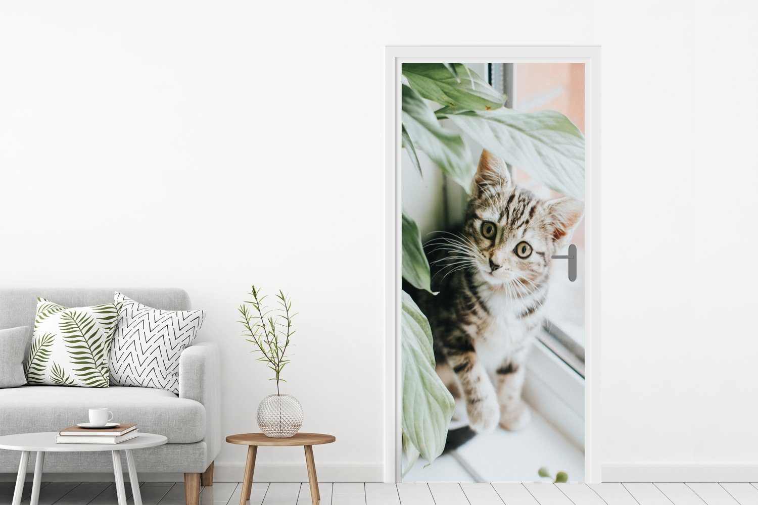 Fototapete St), für Tür, - Katze Türtapete bedruckt, MuchoWow - 75x205 Türaufkleber, Matt, Pflanzen, (1 cm Kätzchen