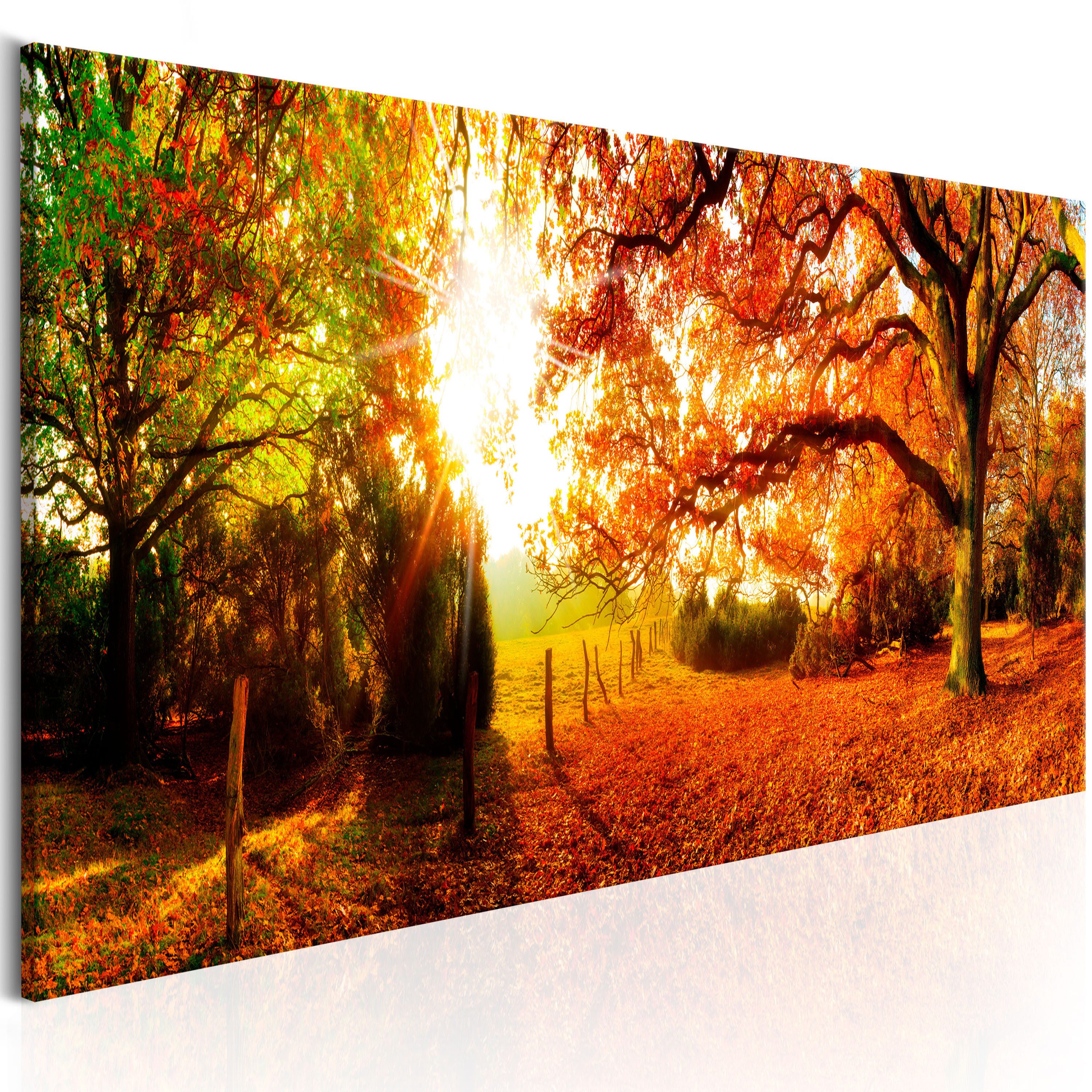 Artgeist Wandbild Magic of Autumn