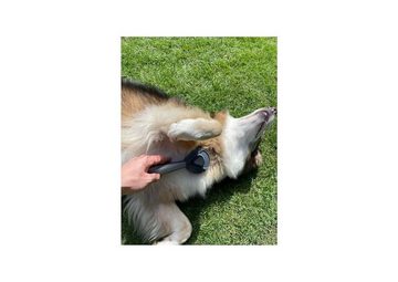Warenhammer Fellbürste Haustierbürste Hundebürste Katzenbürste sehr robust, selbstreinigend per Knopf