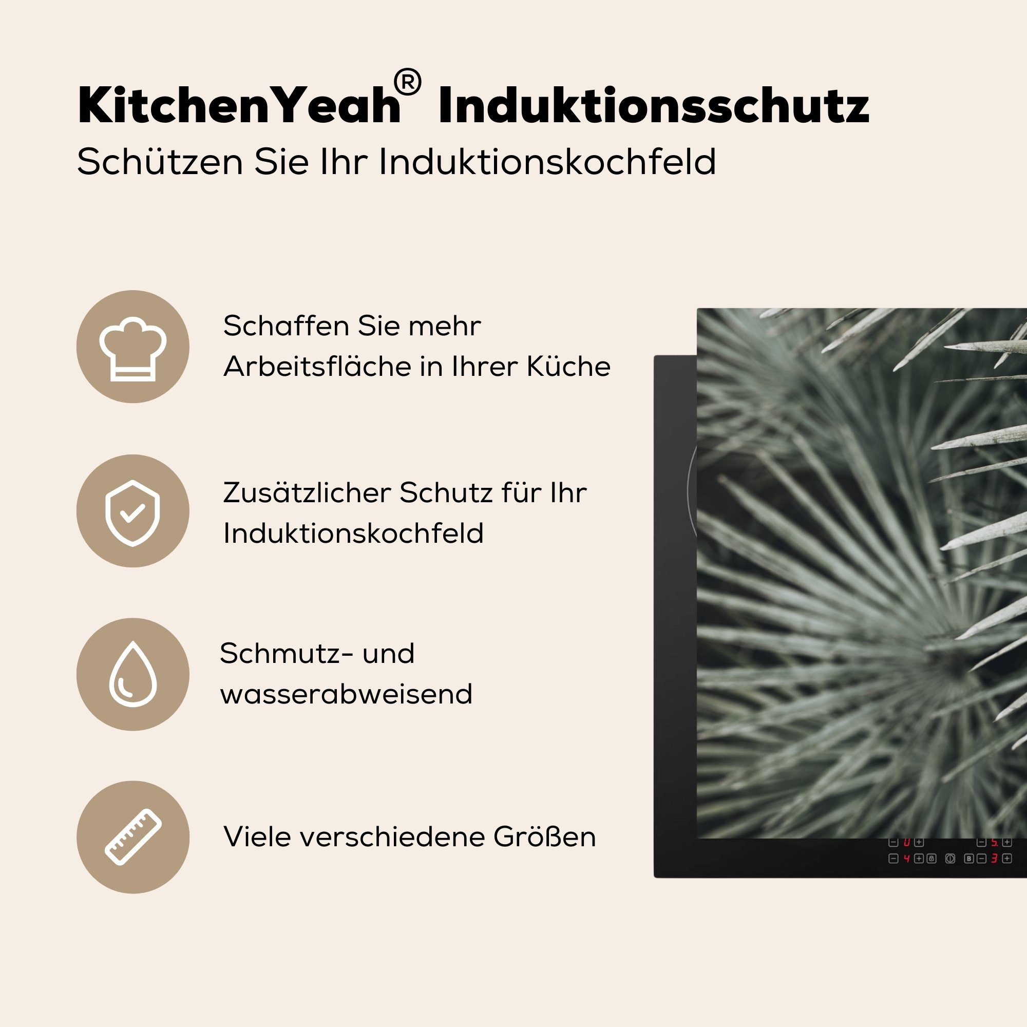 Herdblende-/Abdeckplatte 81x52 Palme, (1 Grün MuchoWow Blätter - die Ceranfeldabdeckung für küche, Vinyl, tlg), - cm, Schutz Induktionskochfeld