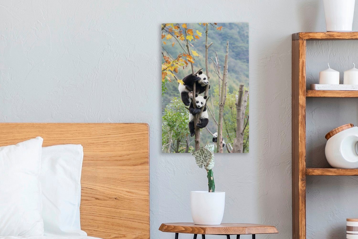 OneMillionCanvasses® Leinwandbild Panda - Baum Äste, - fertig Leinwandbild Zackenaufhänger, cm St), bespannt (1 20x30 Gemälde, inkl