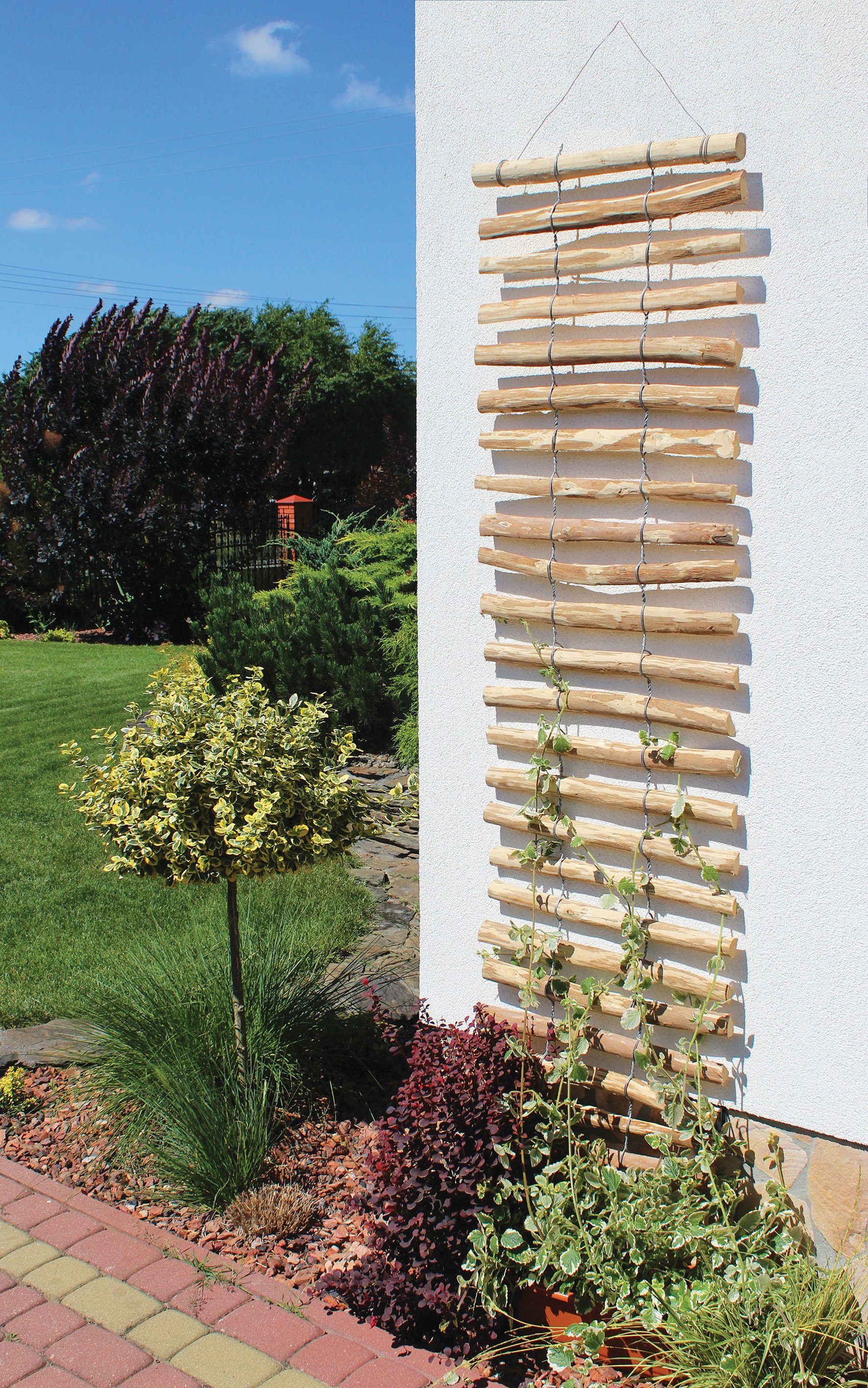 dobar Rankhilfe, LxB: 50x200 cm, Haselnuss günstig online kaufen