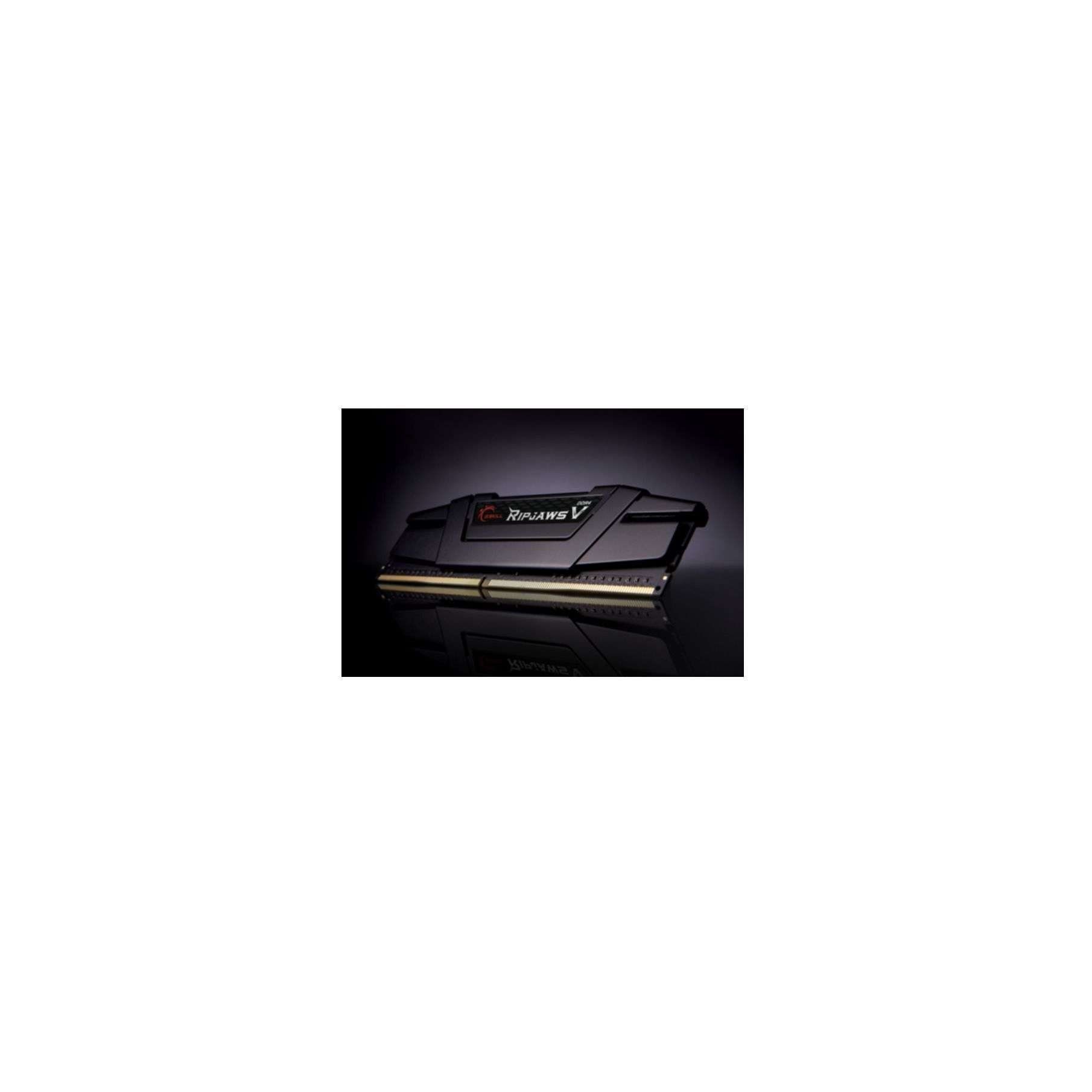 G.Skill F4-3200C16D-16GVKB Arbeitsspeicher