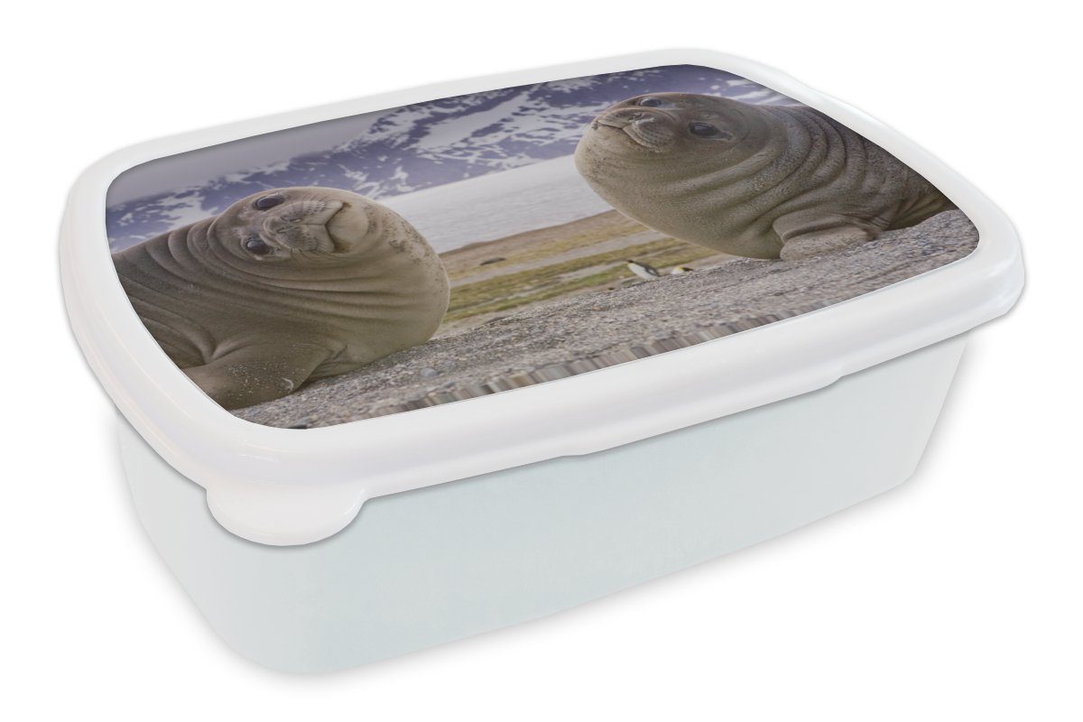 MuchoWow Lunchbox Robben - Lustig - Kinder - Jungen - Mädchen - Kinder, Kunststoff, (2-tlg), Brotbox für Kinder und Erwachsene, Brotdose, für Jungs und Mädchen weiß