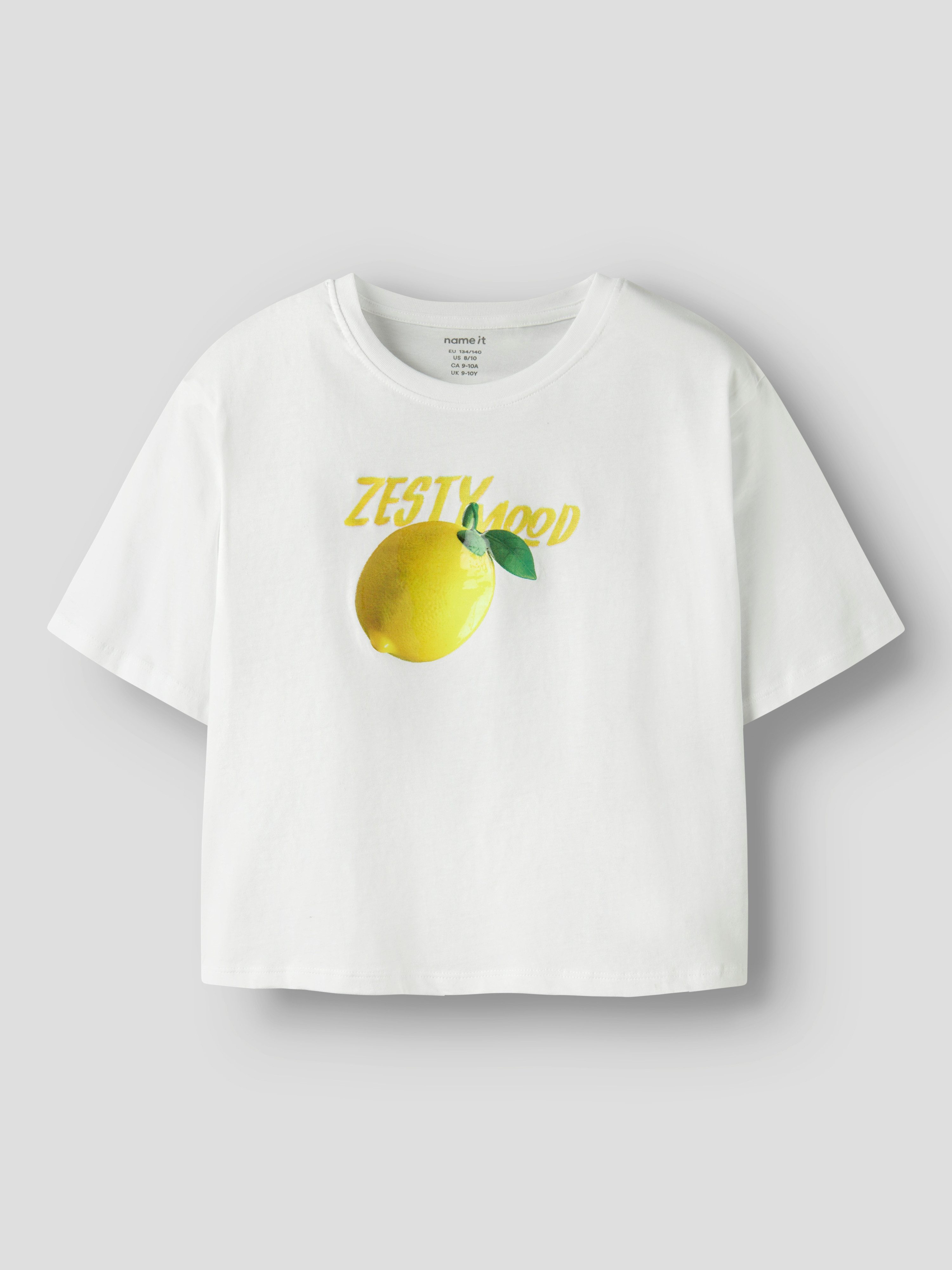 Name It T-Shirt NKFFARINAZ SS NREG SHORT TOP BOX mit sommerlichem Frontmotiv