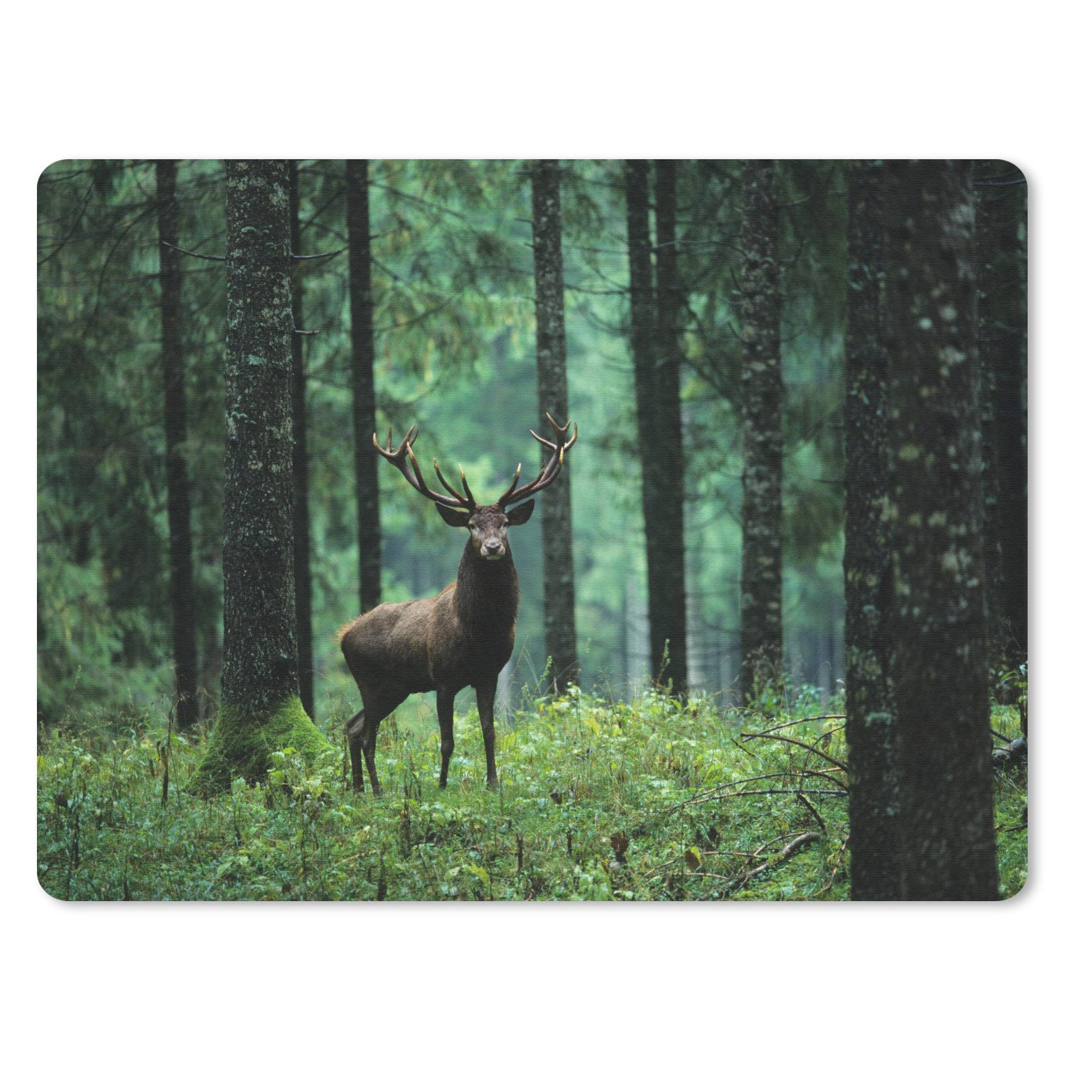 MuchoWow Mauspad Hirsche - Wald - Bäume - Tiere - Natur (1-St), Gaming, Mousepad Klein, Büro Zubehör, Mausunterlage, 23x19 cm