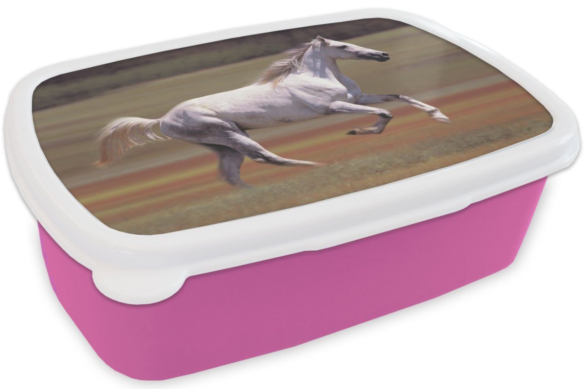 Kunststoff Brotbox Kinder, (2-tlg), rosa Brotdose Kunststoff, Lunchbox für Mädchen, Snackbox, Pferd MuchoWow - Licht Gras, Erwachsene, -