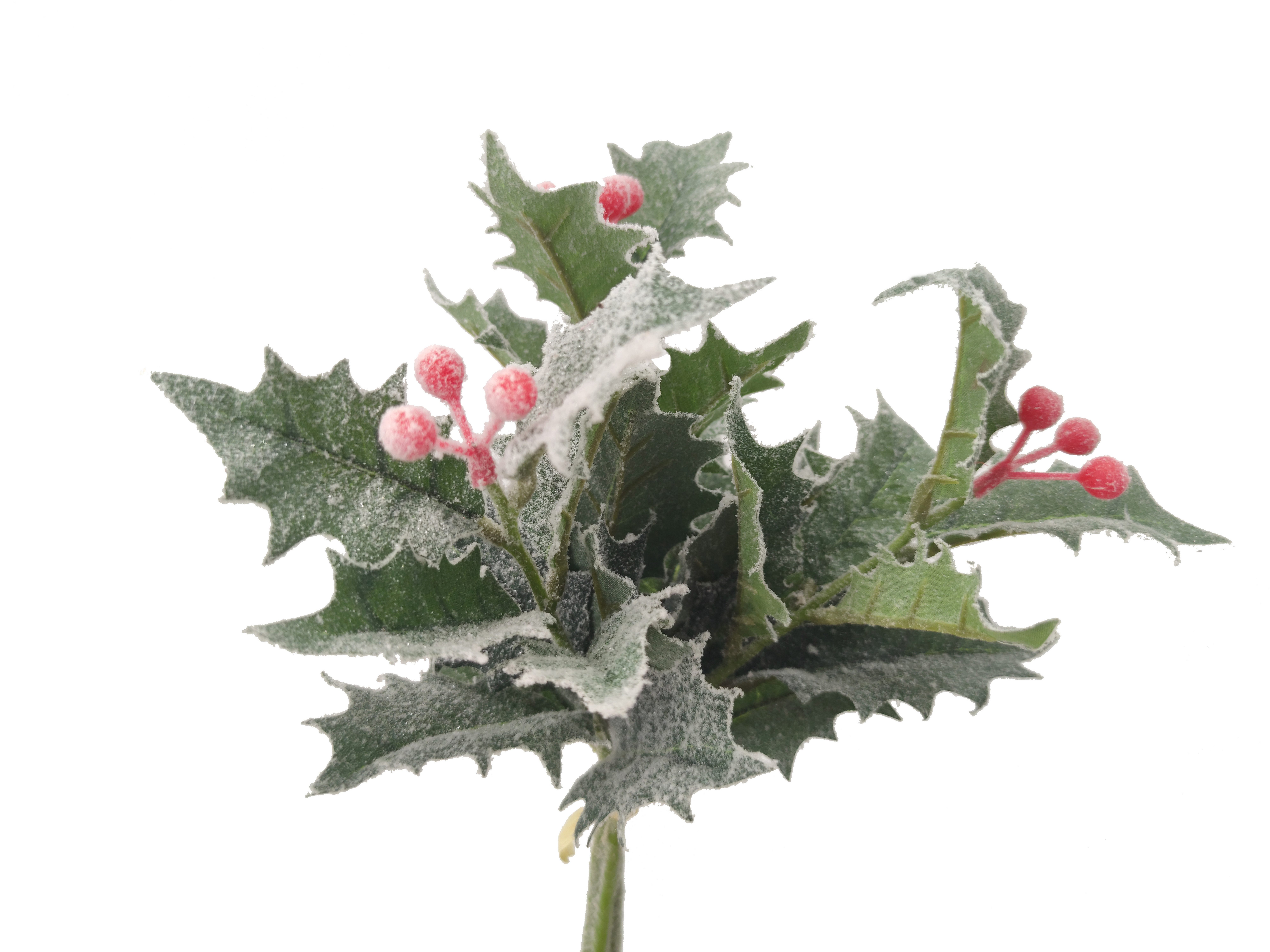 Kunstzweig Winter Lorbeerzweig Frostlook, 2474U, Höhe 33 cm günstig online kaufen