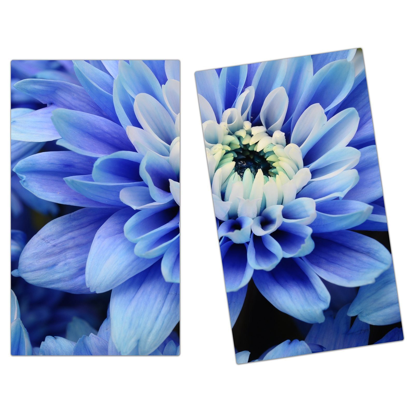 Blüten, Primedeco (2 Glas Herd-Abdeckplatte tlg) Blaue aus Spritzschutz Herdabdeckplatte Glas,