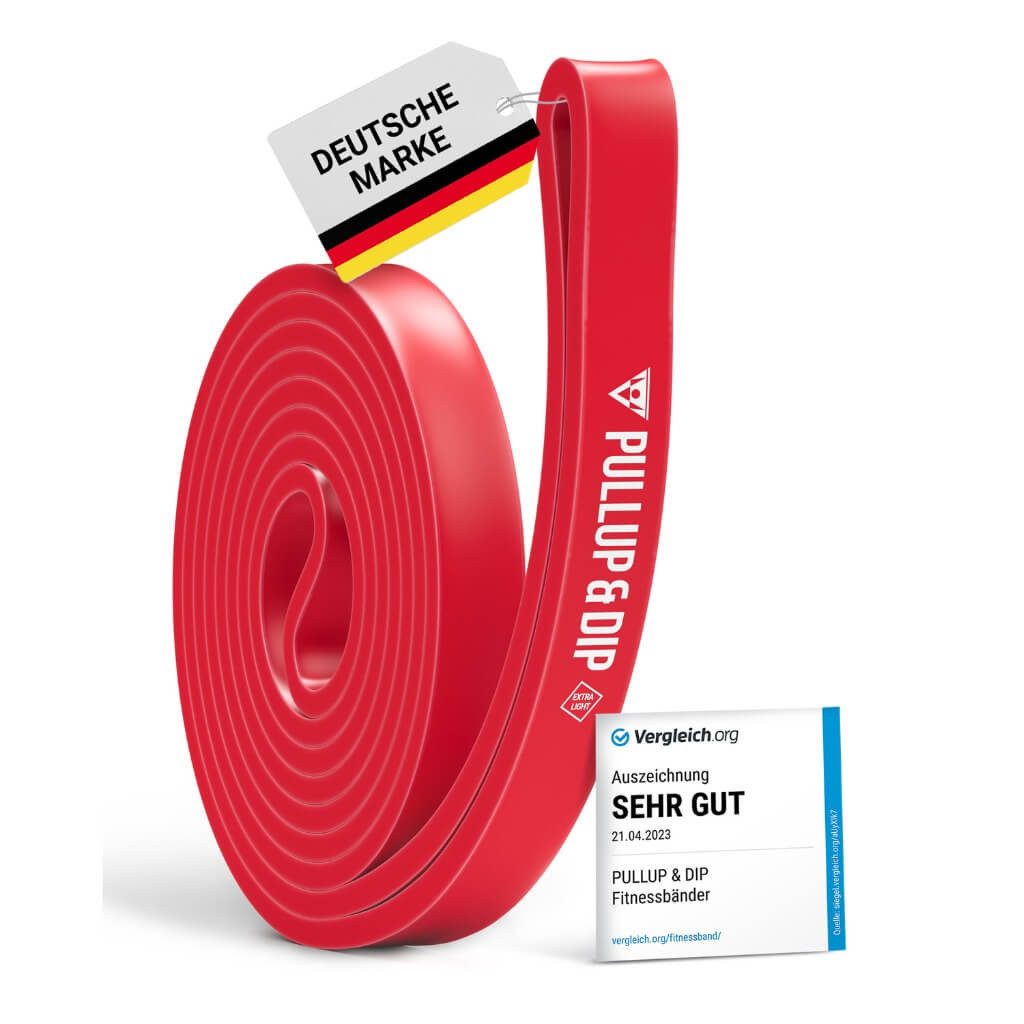 Pullup & Dip Trainingsband Fitnessbänder mit Tasche, Türanker (bei Sets) und Übungsguide