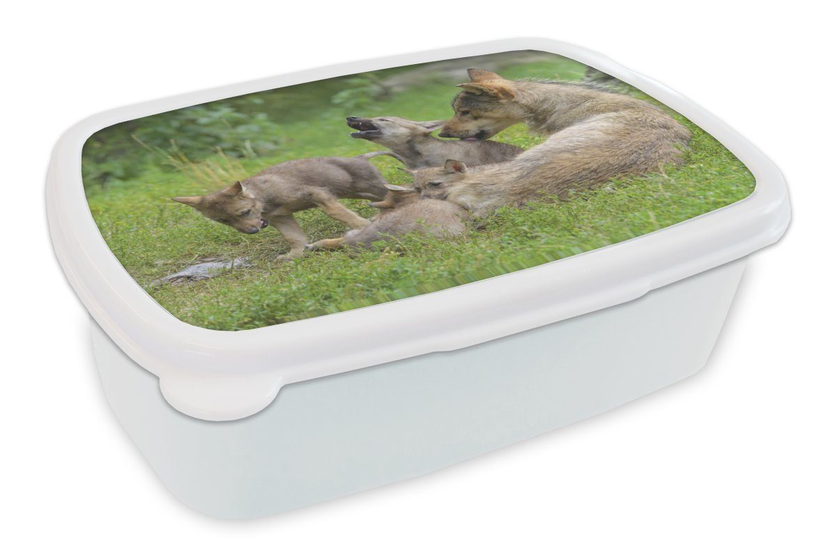 echt MuchoWow Lunchbox Kunststoff, Mädchen weiß - Jungs Kinder für - und Brotdose, Wolf Jungtiere Brotbox und für Erwachsene, (2-tlg), Gras