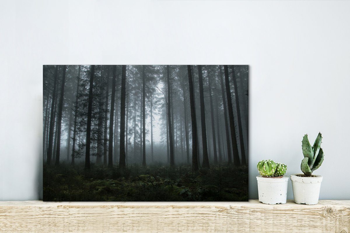 OneMillionCanvasses® Leinwandbild Wald - Licht - günstig online kaufen