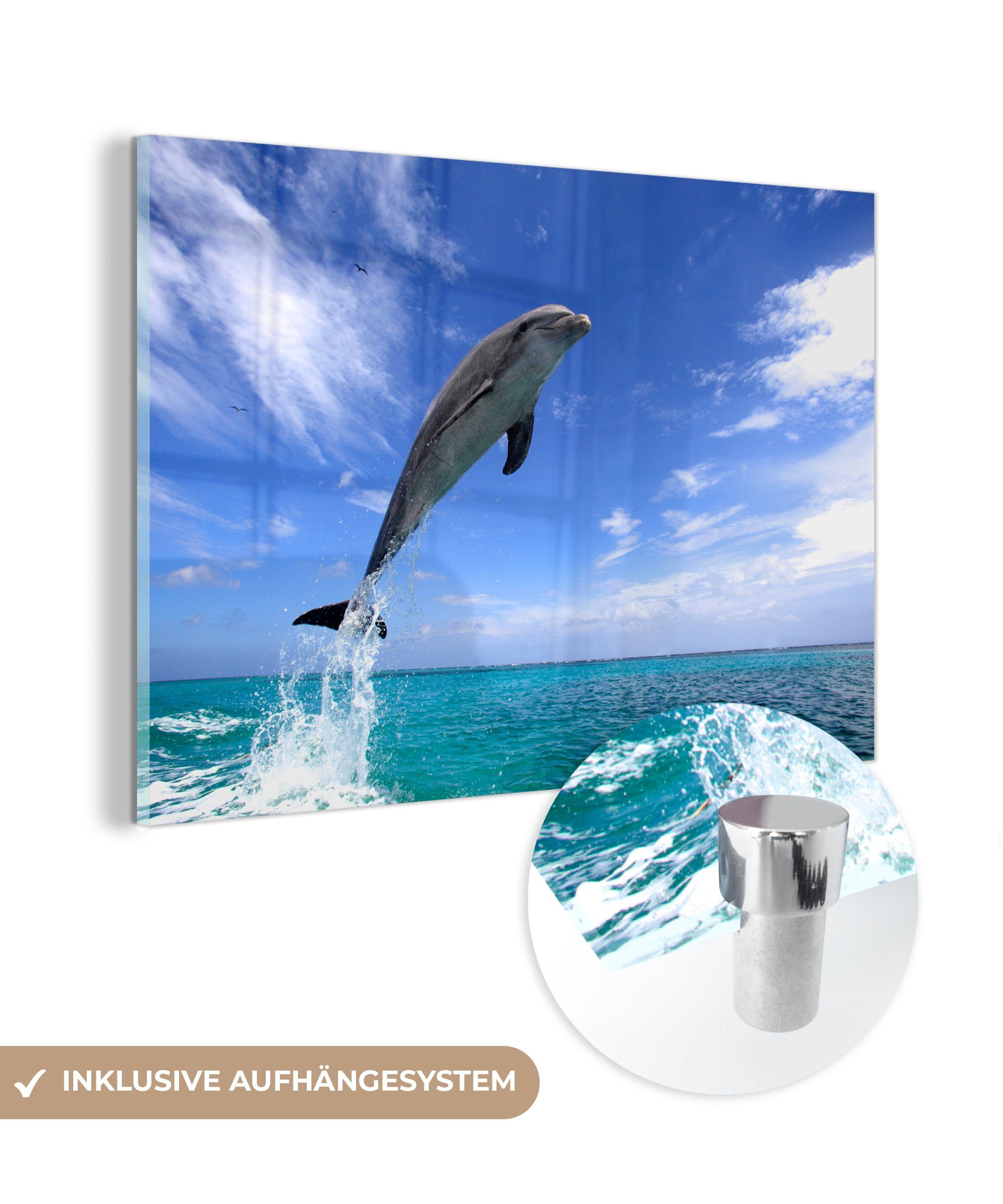 MuchoWow Acrylglasbild Delfin - Meer - Himmel, (1 St), Acrylglasbilder Wohnzimmer & Schlafzimmer